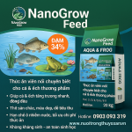 KỸ THUẬT NUÔI CÁ RÔ – CÁ CHÉP THƯƠNG PHẨM TỪ THẢ GIỐNG ĐẾN XUẤT THỊT