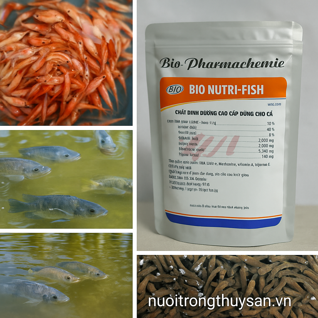 BIO NUTRI-FISH – Chất dinh dưỡng cao cấp dùng cho cá